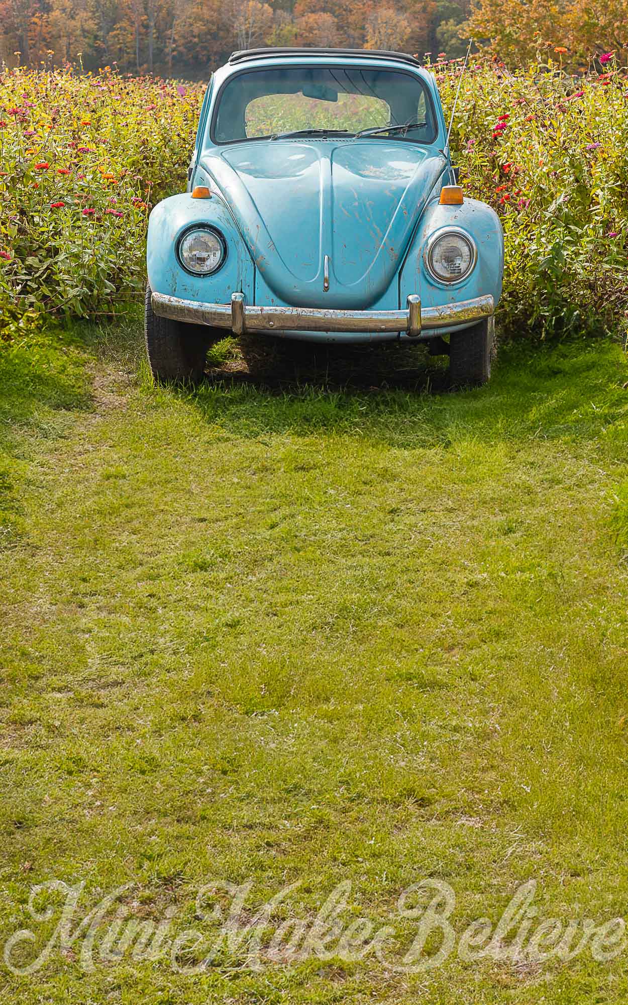 Kate Sweep Muddy Blue Buggy Backdrop for Photography Designed by Mini Makebelieve