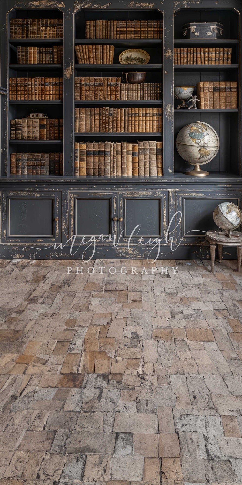 Kate Sweep Black Bookcase Backdrop Designed by Megan Leigh - Kate Backdrop AU