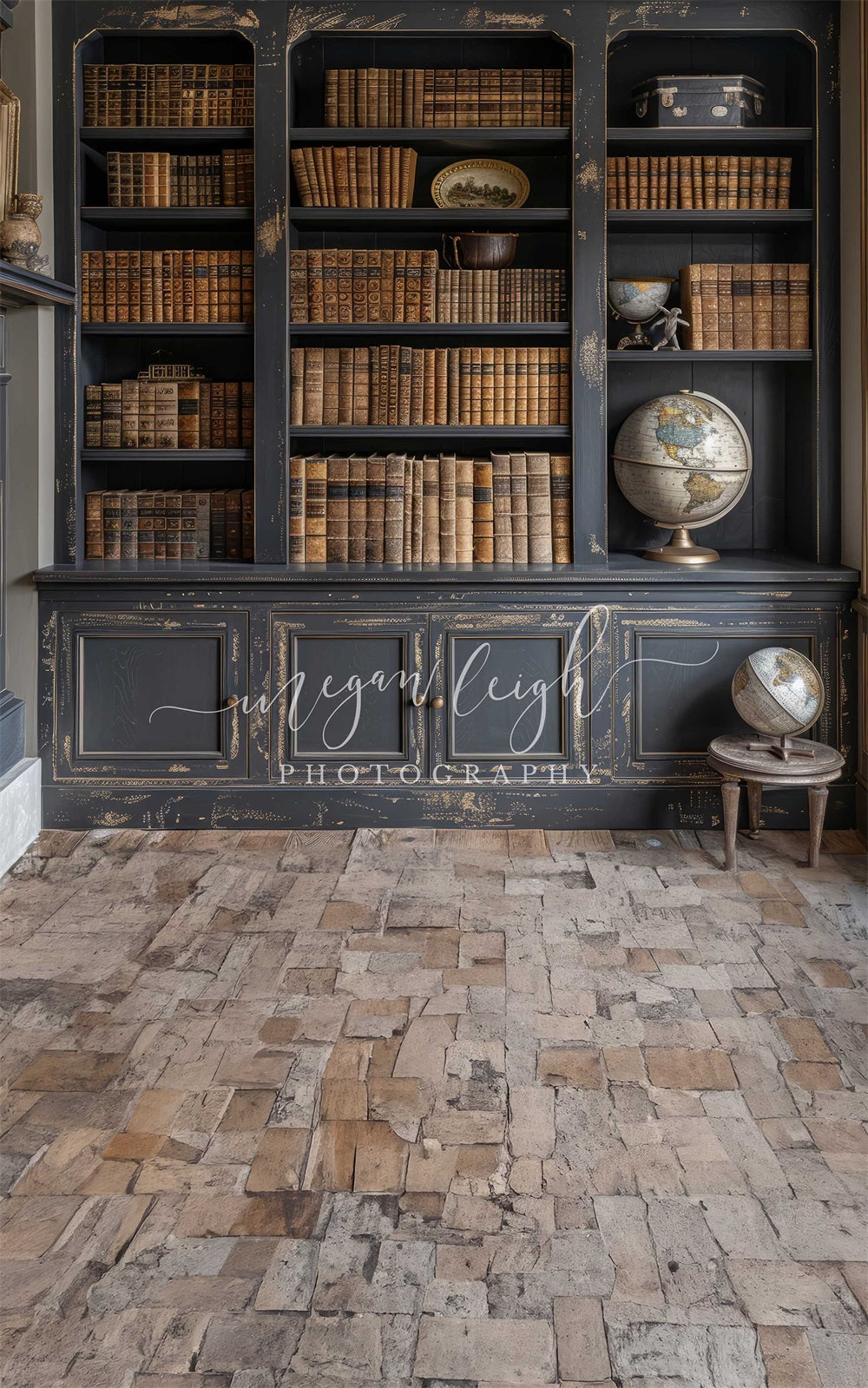 Kate Sweep Black Bookcase Backdrop Designed by Megan Leigh - Kate Backdrop AU