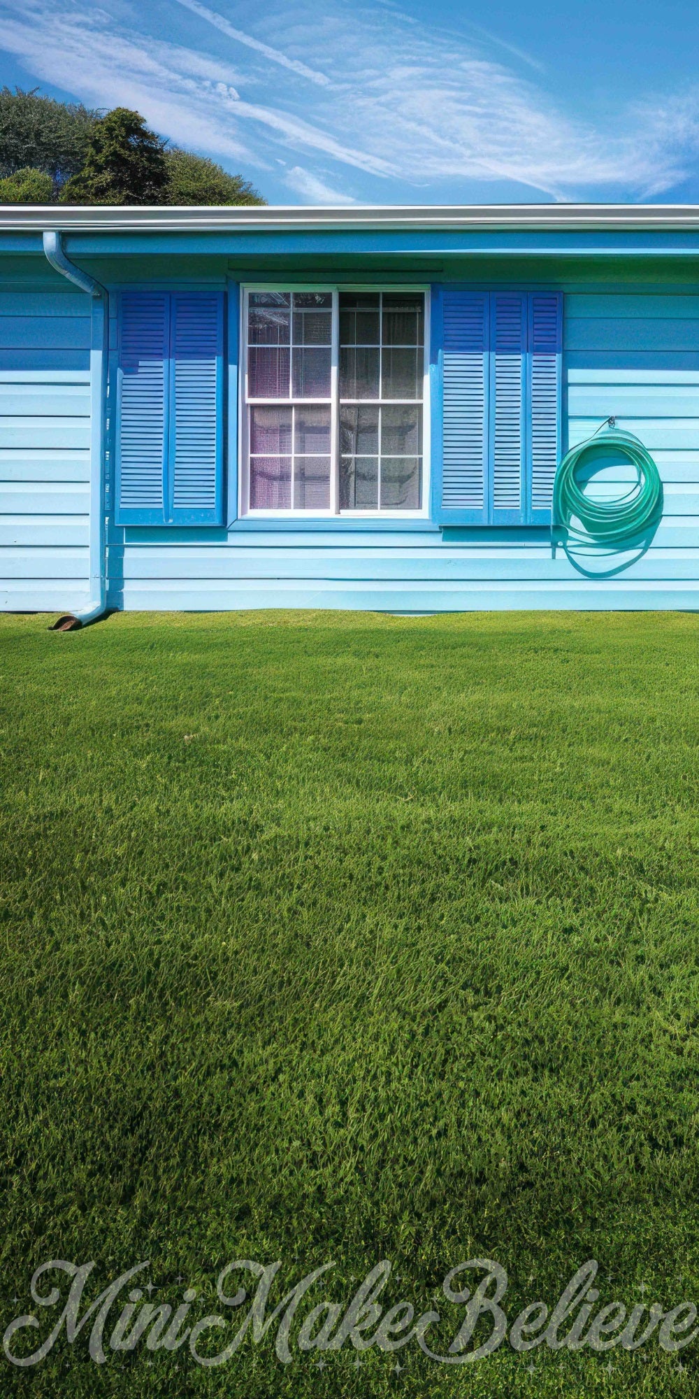 Kate Sweep Blue House Backdrop for Photography Designed by Mini Makebelieve - Kate Backdrop AU