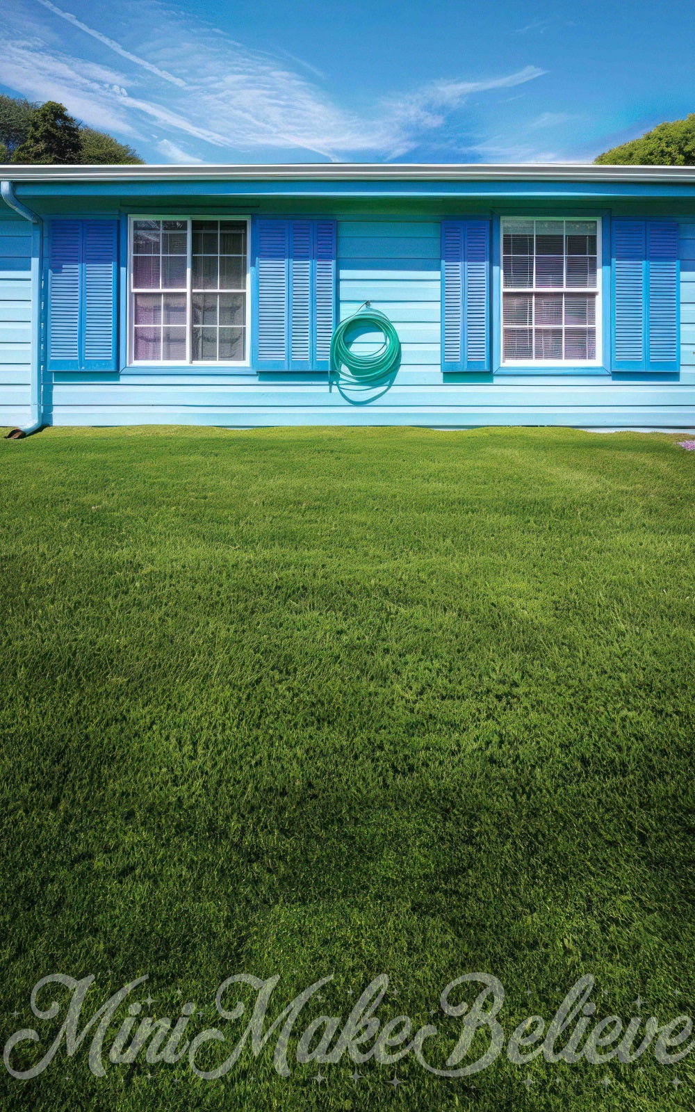 Kate Sweep Blue House Backdrop for Photography Designed by Mini Makebelieve - Kate Backdrop AU