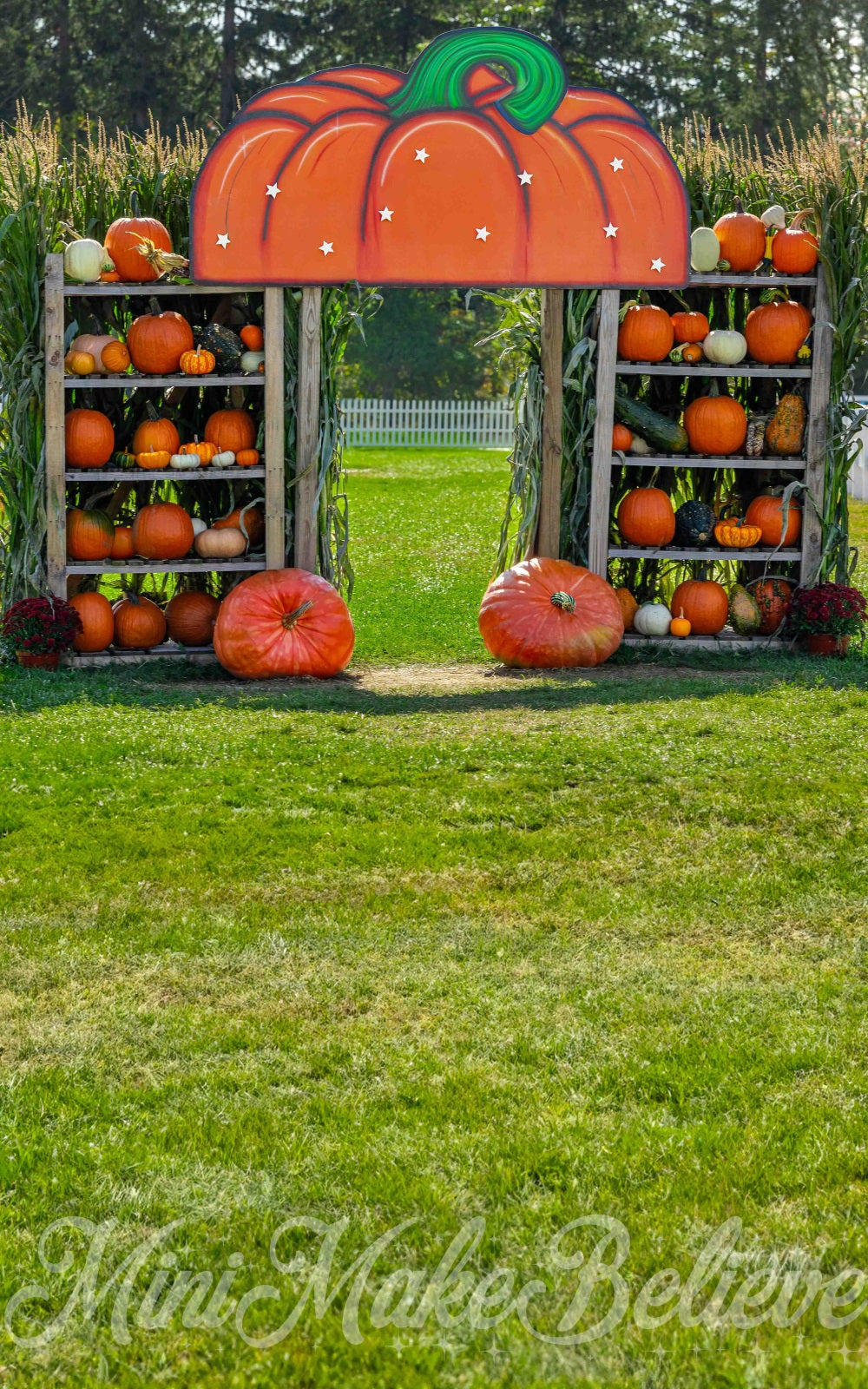 Kate Sweep Pumpkin House Backdrop for Photography Designed by Mini Makebelieve - Kate Backdrop AU