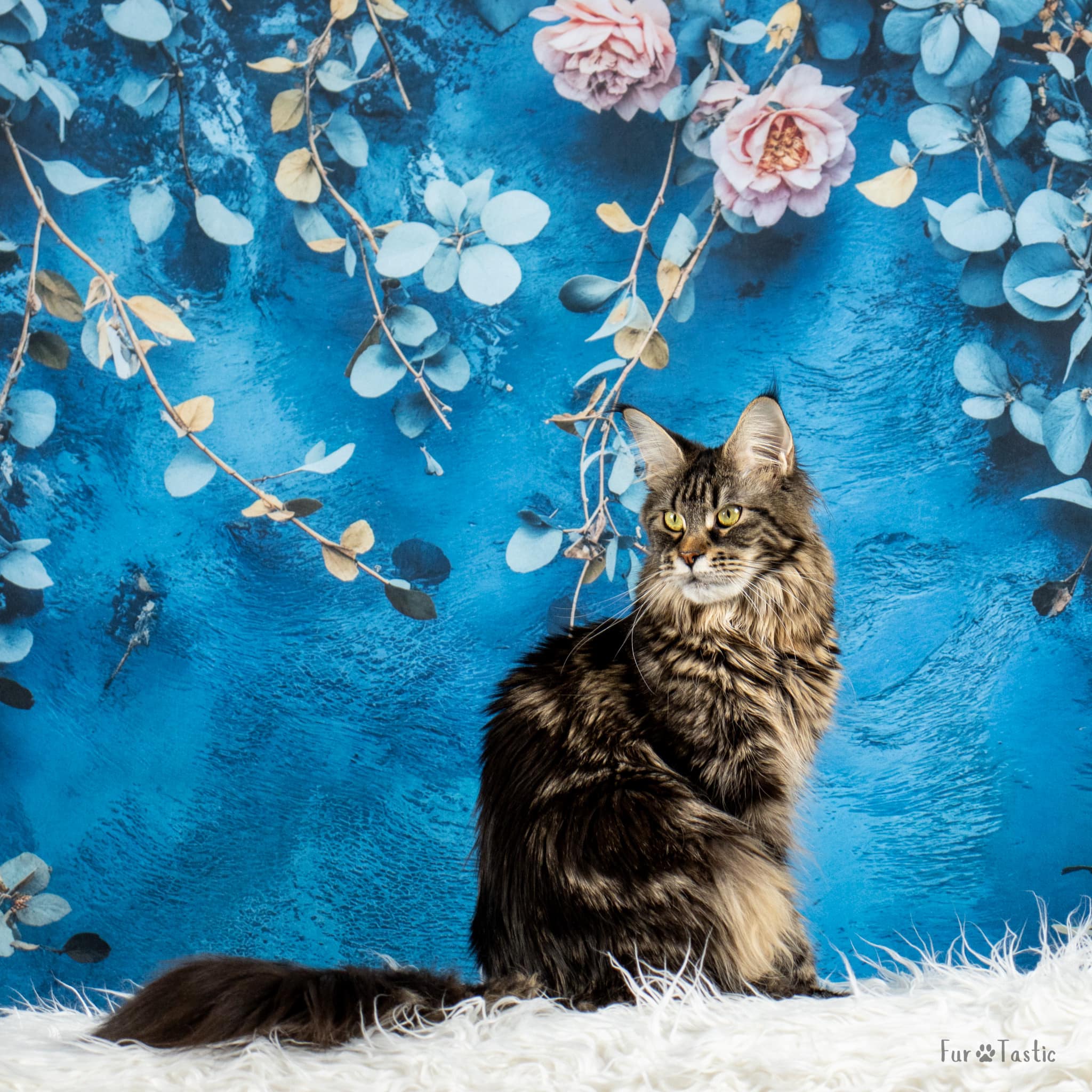 Kate Fine Art Floral Blue Vintage Backdrop Designed by Emetselch - Kate Backdrop AU