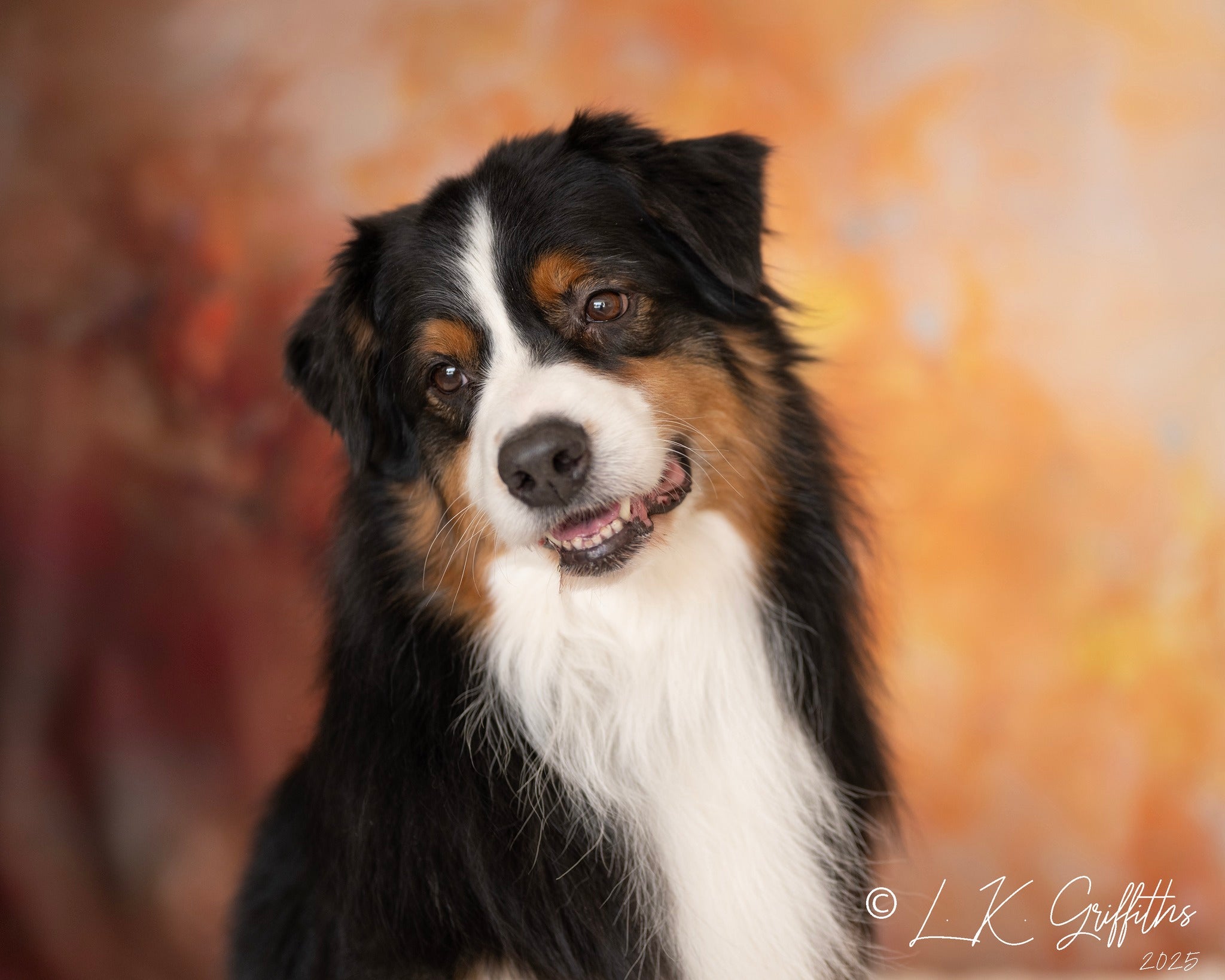 Kate Abstract Texture Golden Backdrop Designed by Emetselch - Kate Backdrop AU