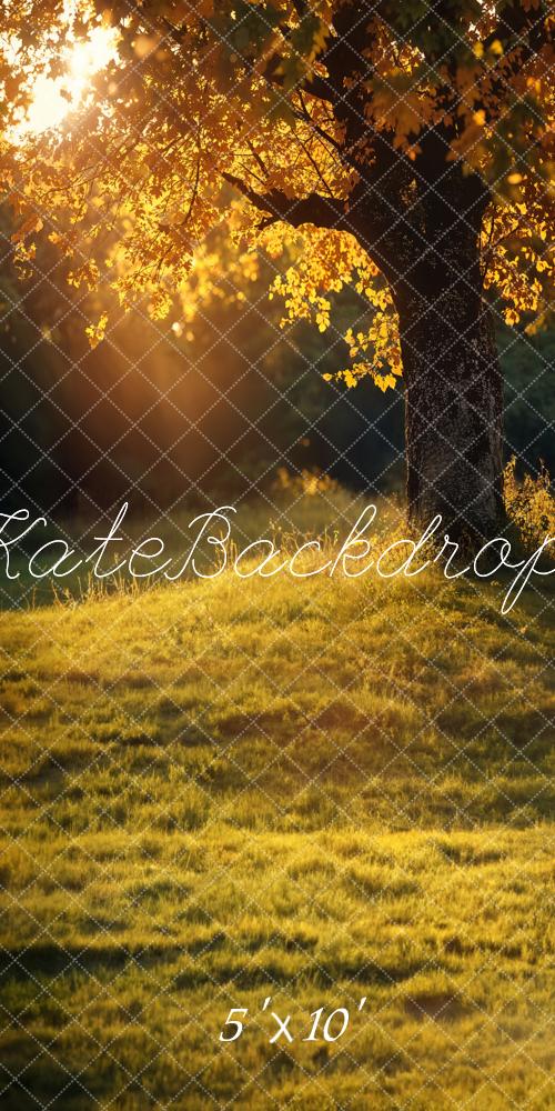 Kate Sweep Sunny Autumn Meadow Backdrop Designed by Chain