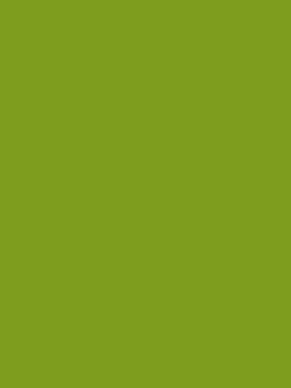 Kate Solid Grass Green Vinyl Floor Backdrop for Photography - Kate Backdrop AU
