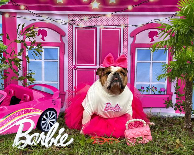 Kate Barbie Pink House Backdrop Star Designed by Chain Photography - Kate Backdrop AU