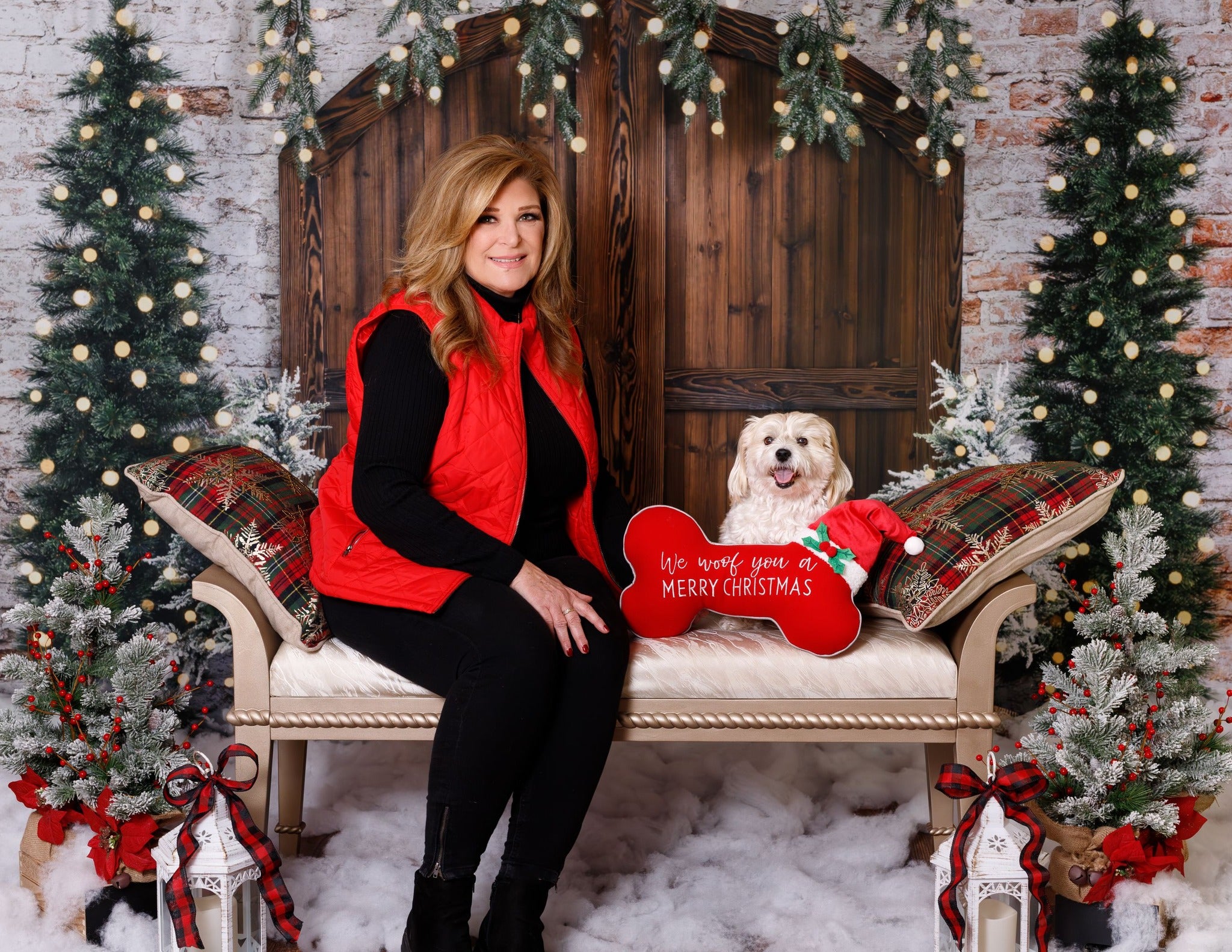 Kate Christmas Backdrop Snow Tree Winter Brick Wall Designed by Emetselch - Kate Backdrop AU