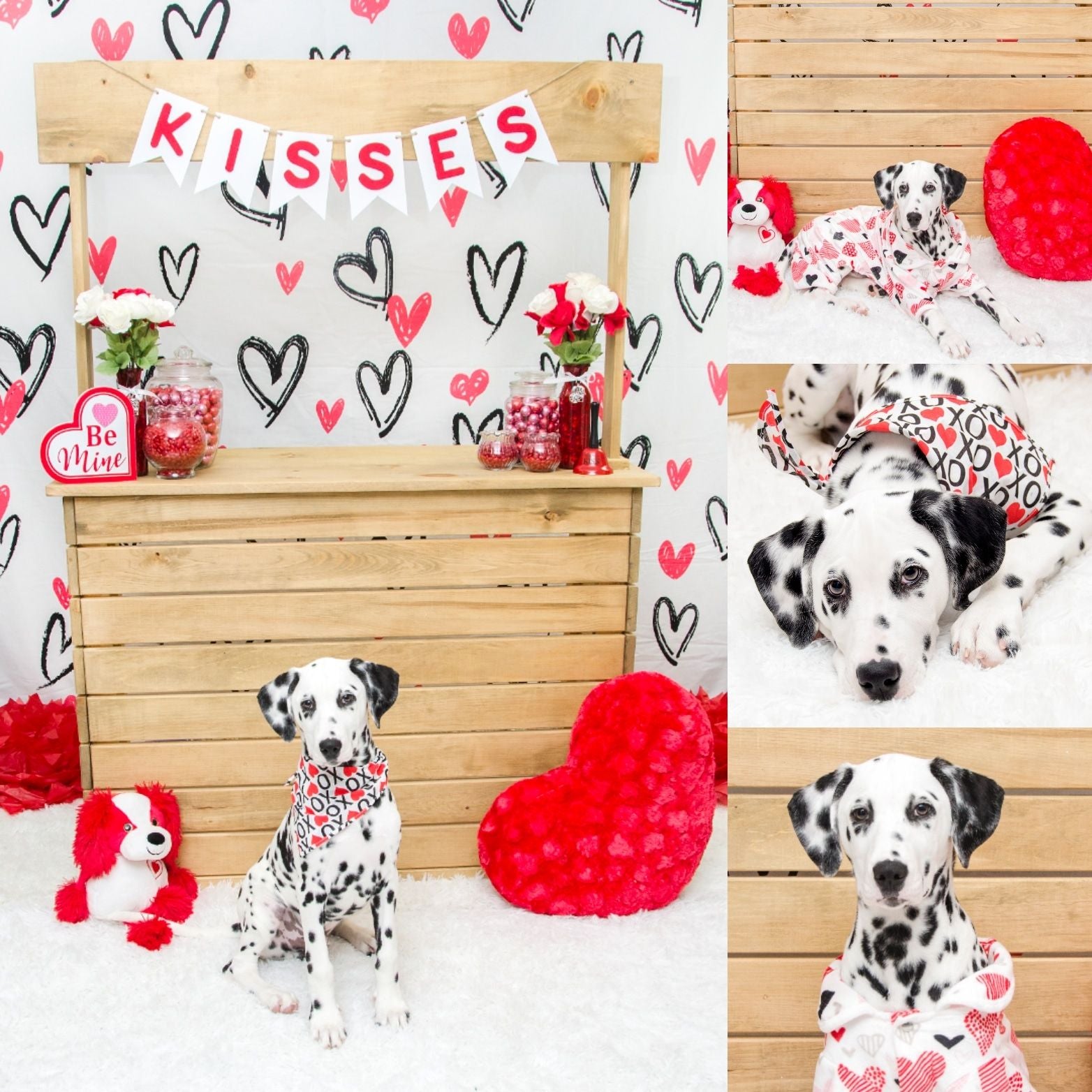 Kate Valentine's Day Backdrop White Loveheart for Photography - Kate Backdrop AU