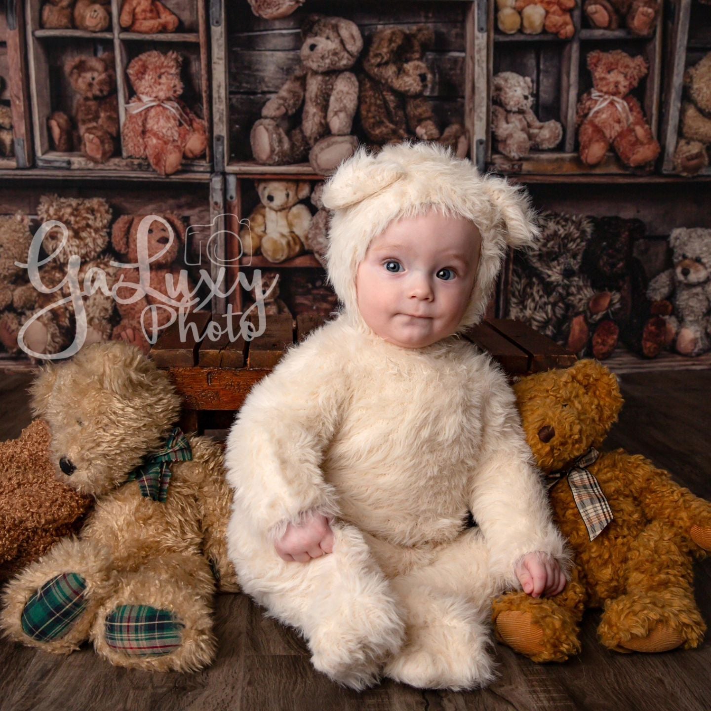 Kate Bear Crates Backdrop designed by Arica Kirby - Kate Backdrop AU