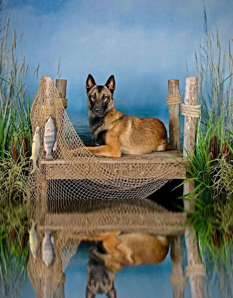 Dog lying in front of Reed Cloudy Sky Lake Backdrop