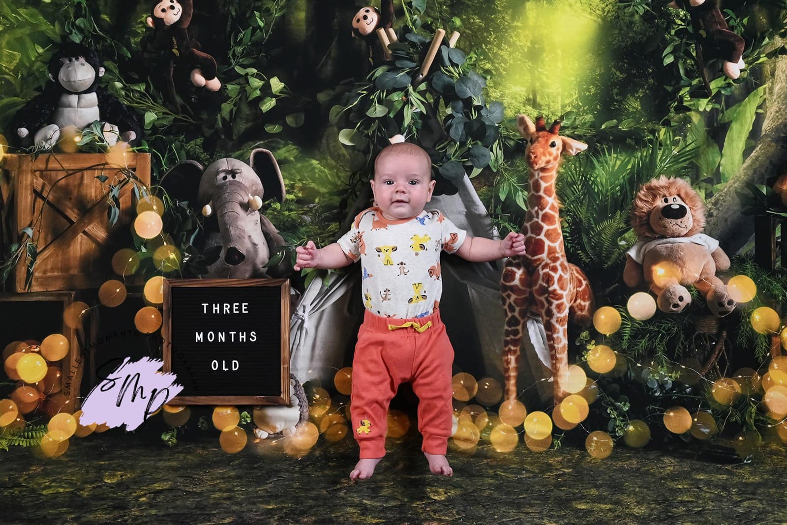 Kate Summer Forest Backdrop Wild Animals Tent Bokeh Designed by Emetselch - Kate Backdrop AU
