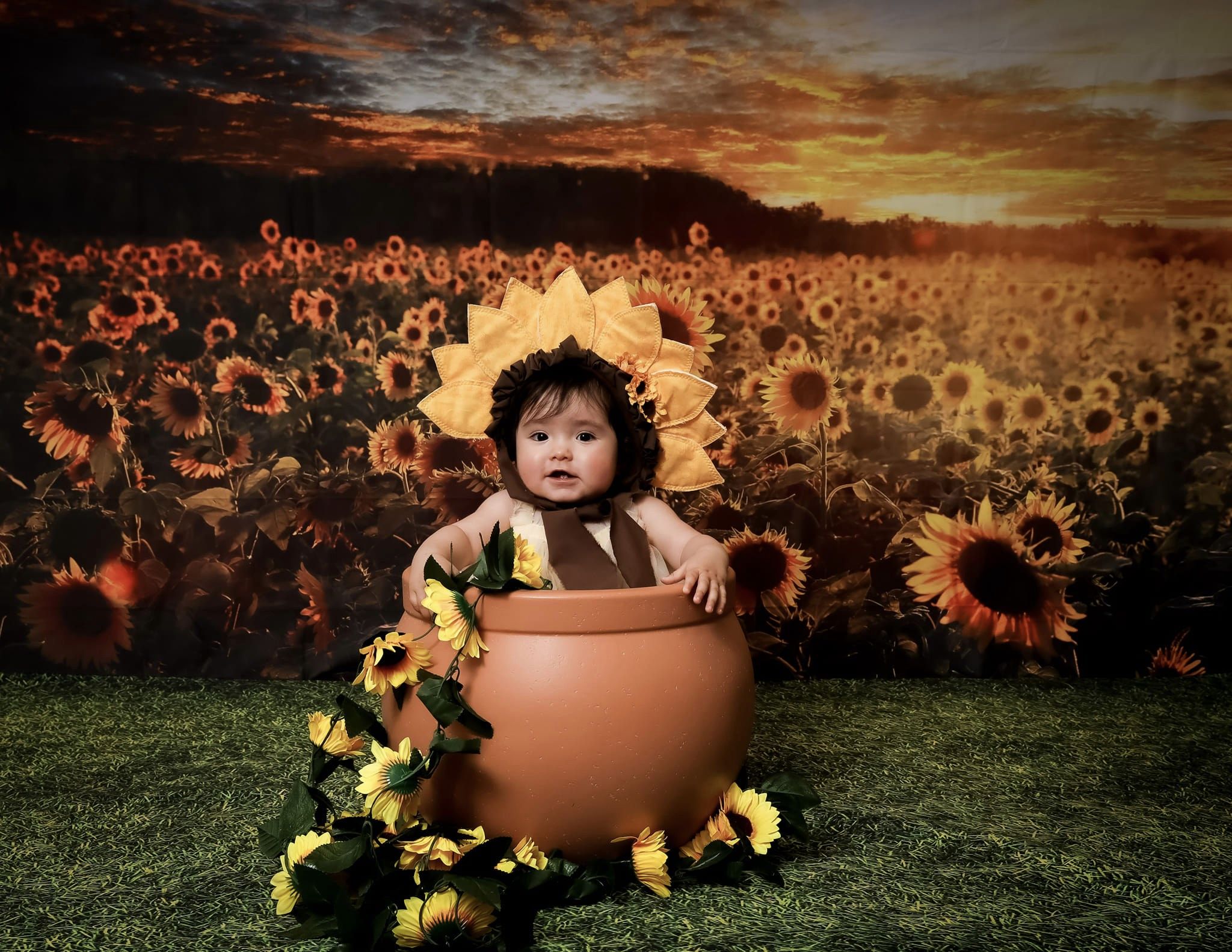 Kate Sunflower Backdrop Autumn Outdoor Designed by Chain Photography - Kate Backdrop AU