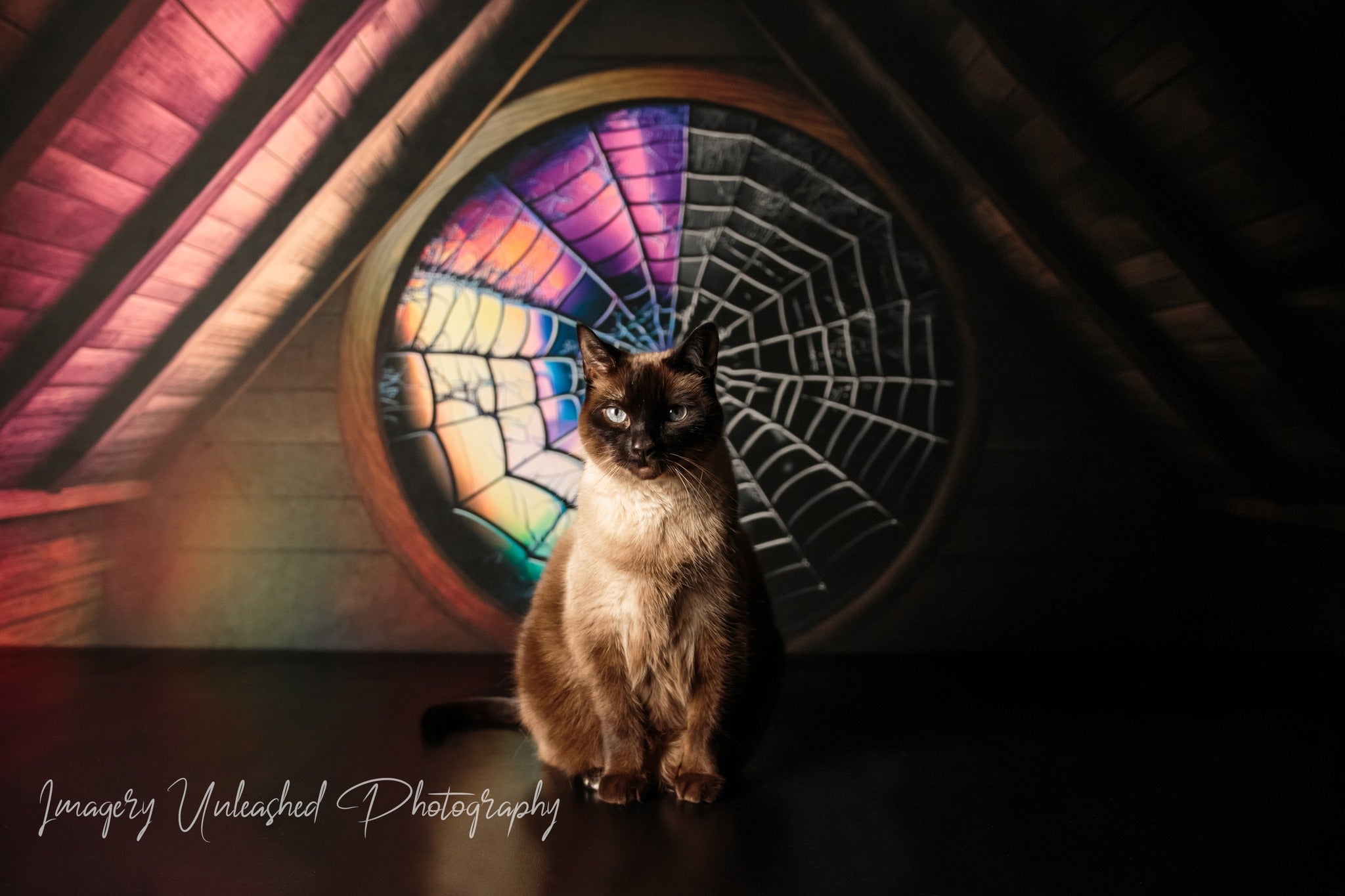 Kate Spooky Halloween Backdrop Attic Dorm Room Colorful Spiderweb Window Designed by Mini MakeBelieve - Kate Backdrop AU