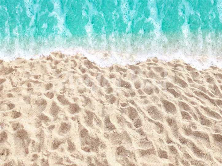 Kate Sandy Beach Water Backdrop Designed by Ashley Paul - Kate Backdrop AU