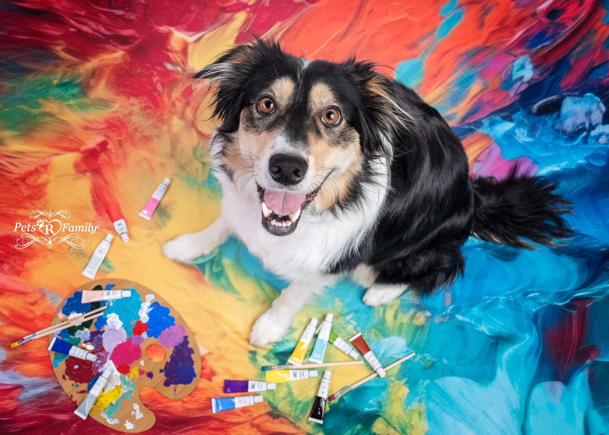 Kate Abstract Rainbow Paint Backdrop Designed by Mandy Ringe Photography - Kate Backdrop AU