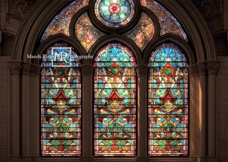 Kate Arched Stained Glass Window Backdrop Designed by Mandy Ringe Photography