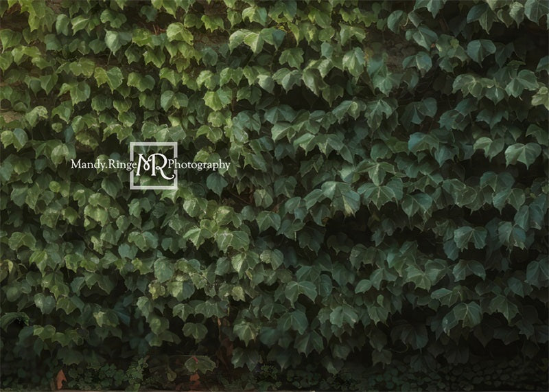 Kate Climbing Ivy Wall Backdrop Designed by Mandy Ringe Photography - Kate Backdrop AU