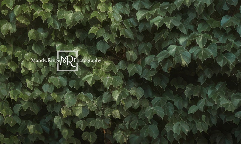 Kate Climbing Ivy Wall Backdrop Designed by Mandy Ringe Photography - Kate Backdrop AU