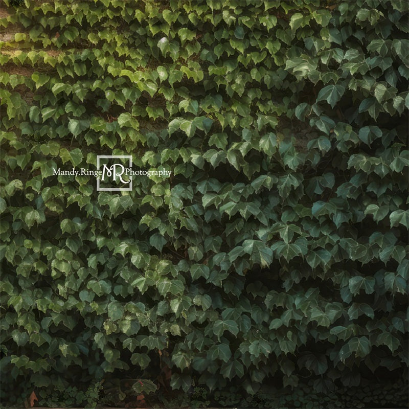 Kate Climbing Ivy Wall Backdrop Designed by Mandy Ringe Photography - Kate Backdrop AU