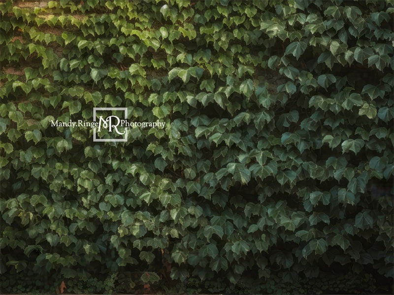 Kate Climbing Ivy Wall Backdrop Designed by Mandy Ringe Photography - Kate Backdrop AU