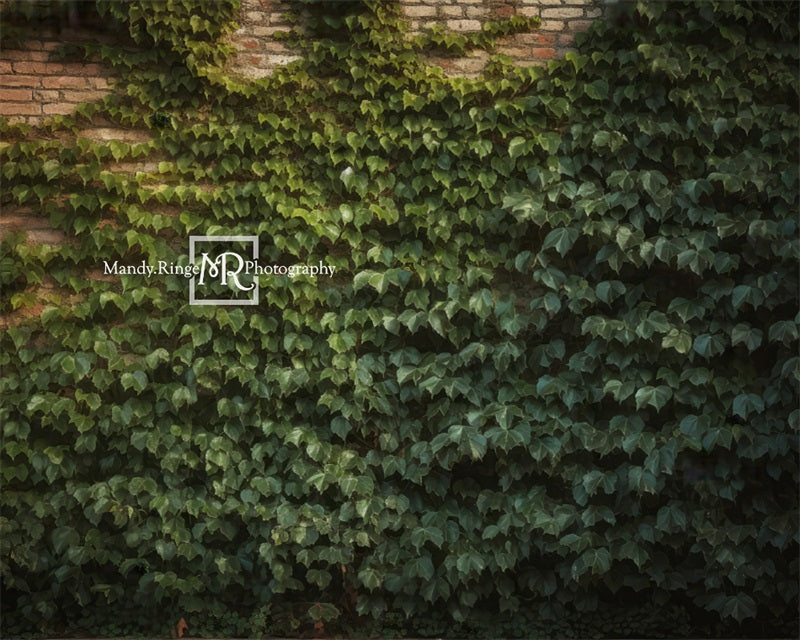 Kate Climbing Ivy Wall Backdrop Designed by Mandy Ringe Photography - Kate Backdrop AU