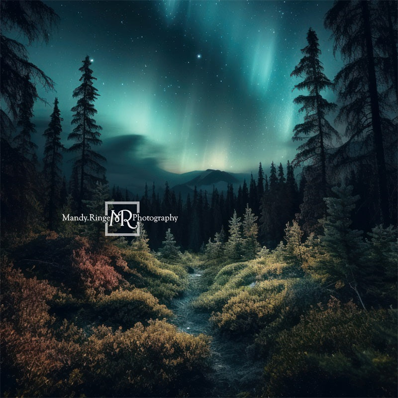 Kate Forest Northern Lights Backdrop Designed by Mandy Ringe Photography - Kate Backdrop AU