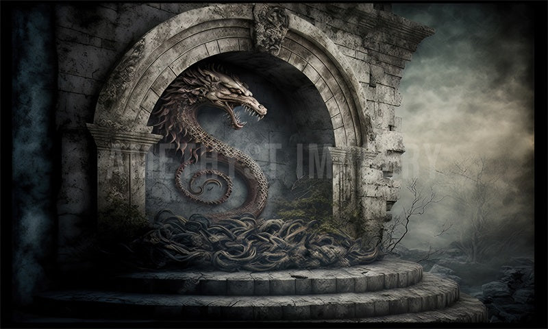 Kate Dragon Stone Fantasy Backdrop Designed by Angela Marie Photography - Kate Backdrop AU