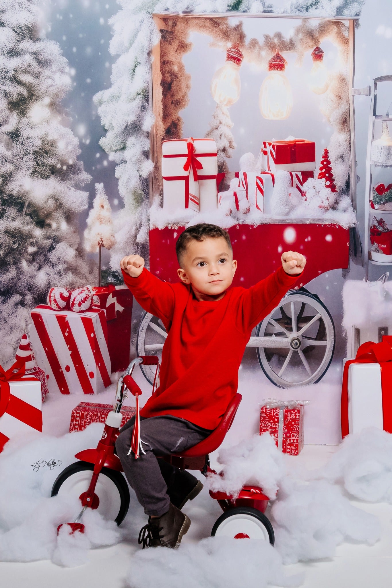 Kate Winter Christmas Tree Backdrop Snow Gift Trolley Designed by Chain Photography - Kate Backdrop AU
