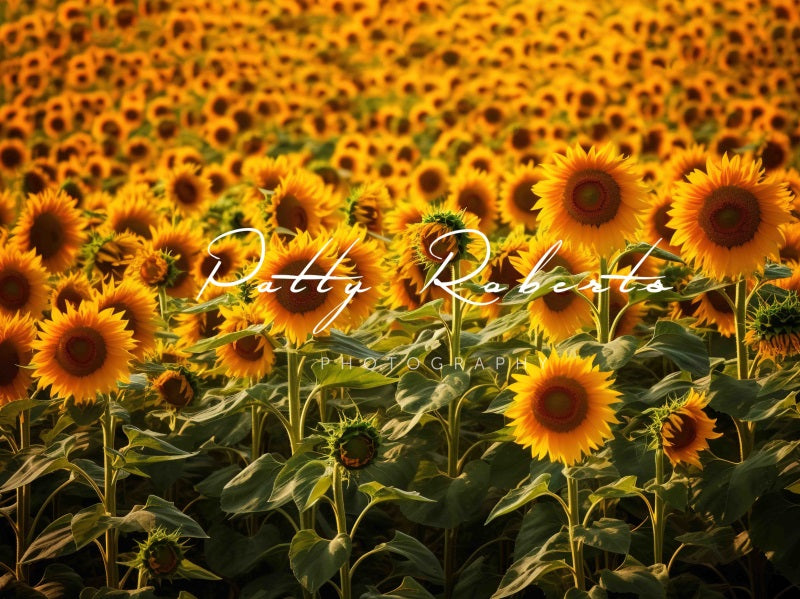 Kate Sunflowers Autumn Backdrop Designed by Patty Robertss - Kate Backdrop AU