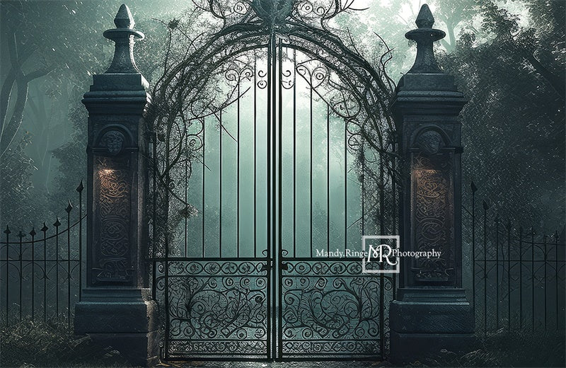 Kate Cemetary Gate at Night Backdrop Designed by Mandy Ringe Photography - Kate Backdrop AU