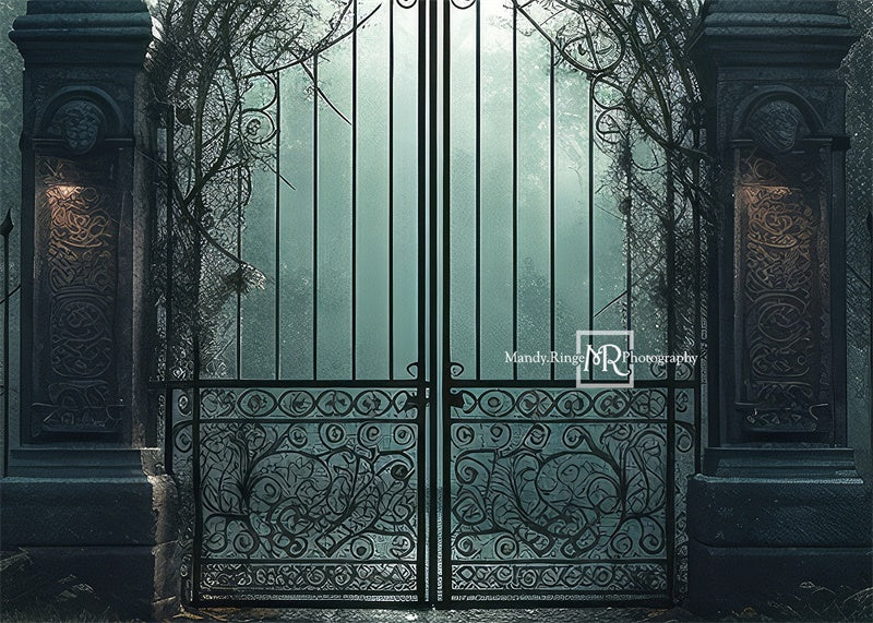 Kate Cemetary Gate at Night Backdrop Designed by Mandy Ringe Photography - Kate Backdrop AU