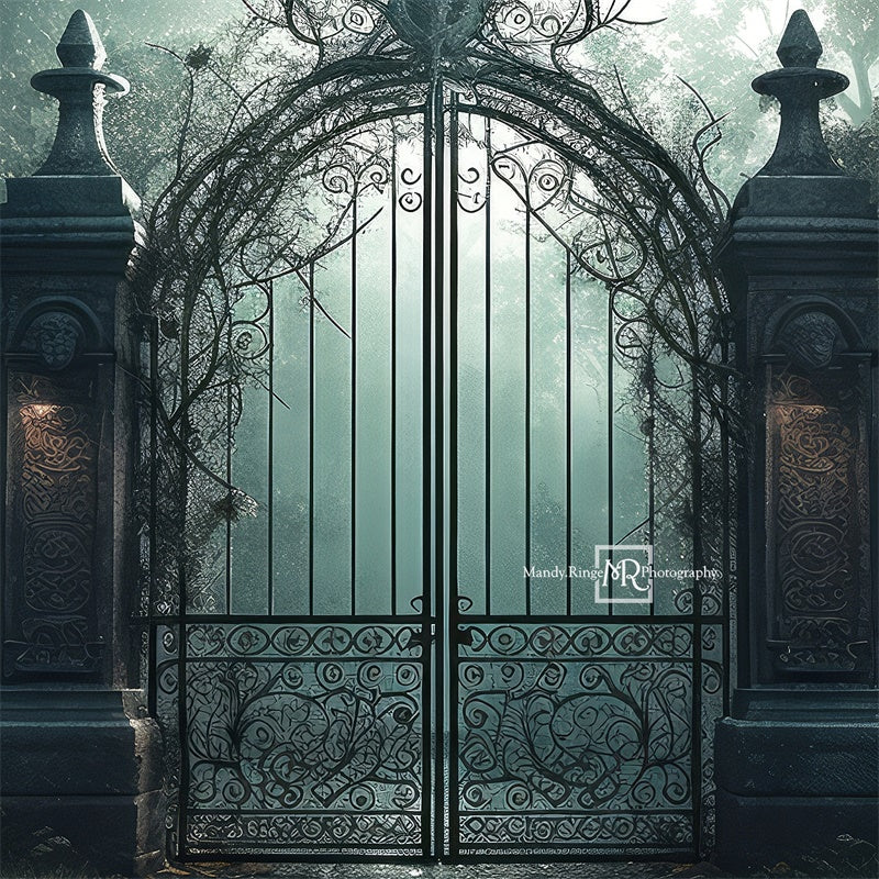Kate Cemetary Gate at Night Backdrop Designed by Mandy Ringe Photography - Kate Backdrop AU