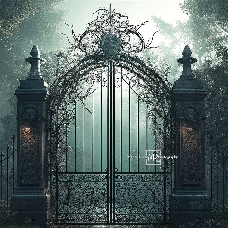 Kate Cemetary Gate at Night Backdrop Designed by Mandy Ringe Photography - Kate Backdrop AU