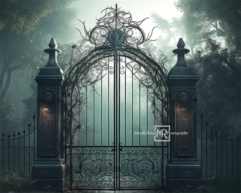 Kate Cemetary Gate at Night Backdrop Designed by Mandy Ringe Photography - Kate Backdrop AU