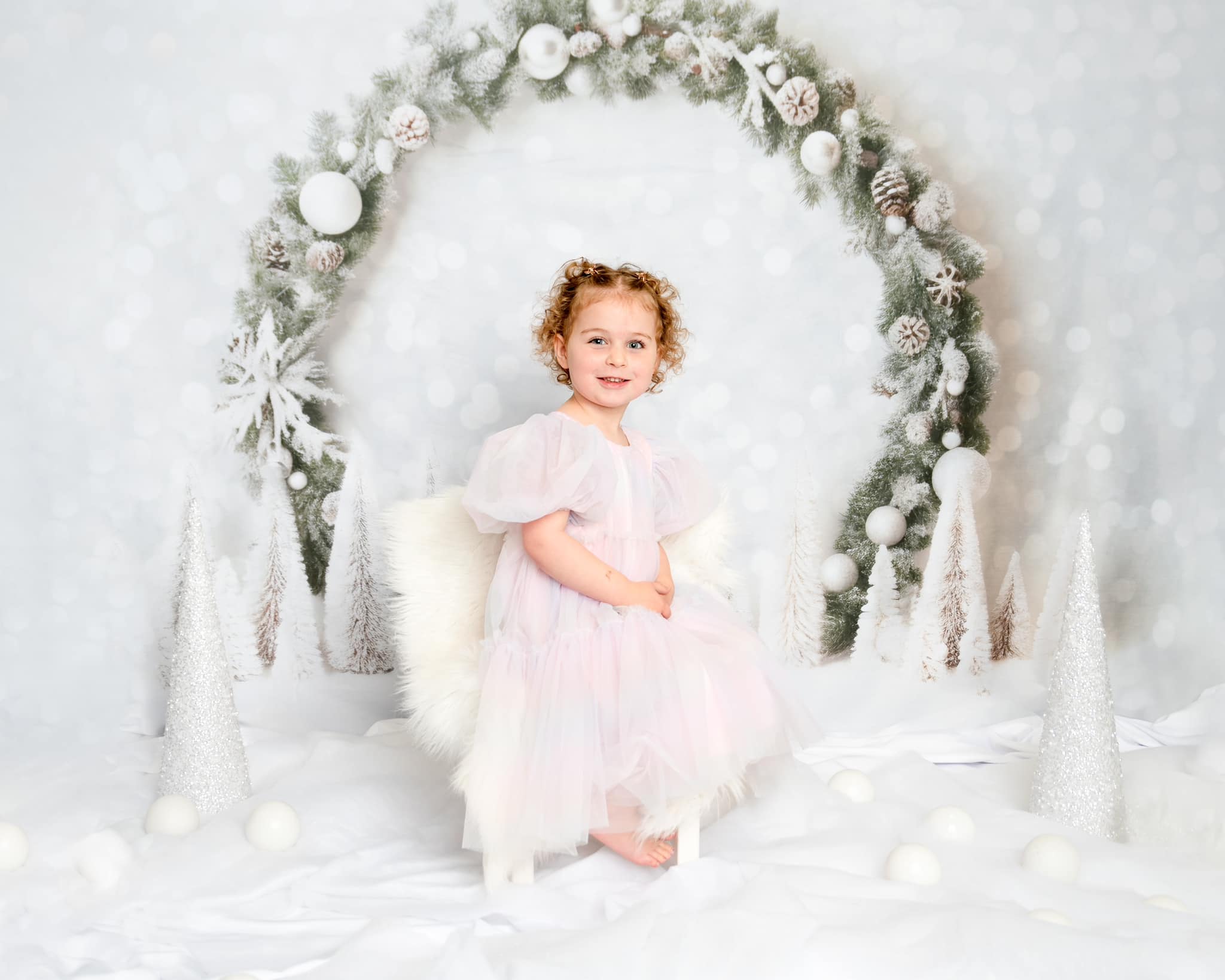 Kate Winter Christmas Arch Backdrop for Photography - Kate Backdrop AU