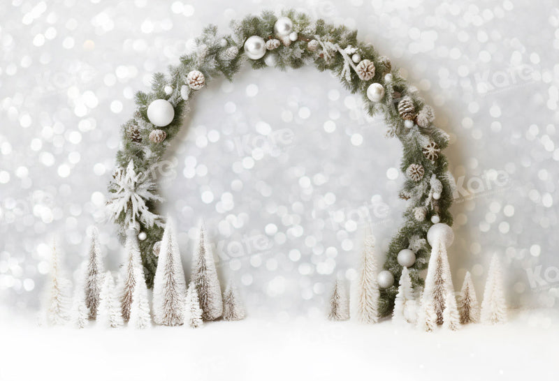 Kate Winter Christmas Arch Backdrop for Photography