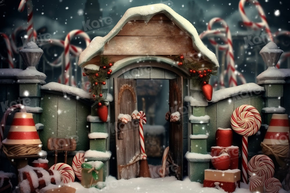 Kate Christmas Candy Winter Backdrop for Photography - Kate Backdrop AU