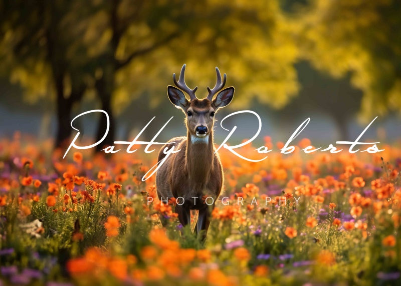 Kate Deer in poppies Backdrop Designed by Patty Robertss - Kate Backdrop AU