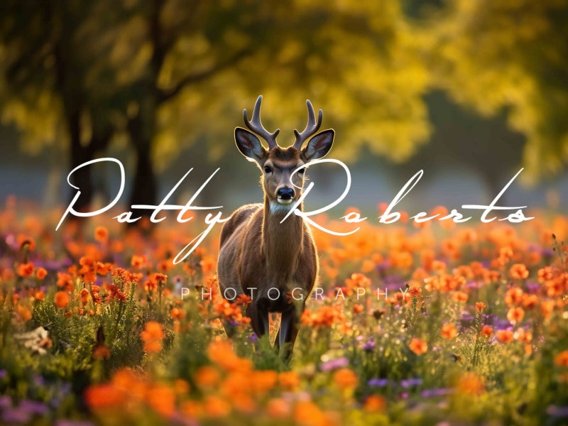 Kate Deer in poppies Backdrop Designed by Patty Robertss - Kate Backdrop AU