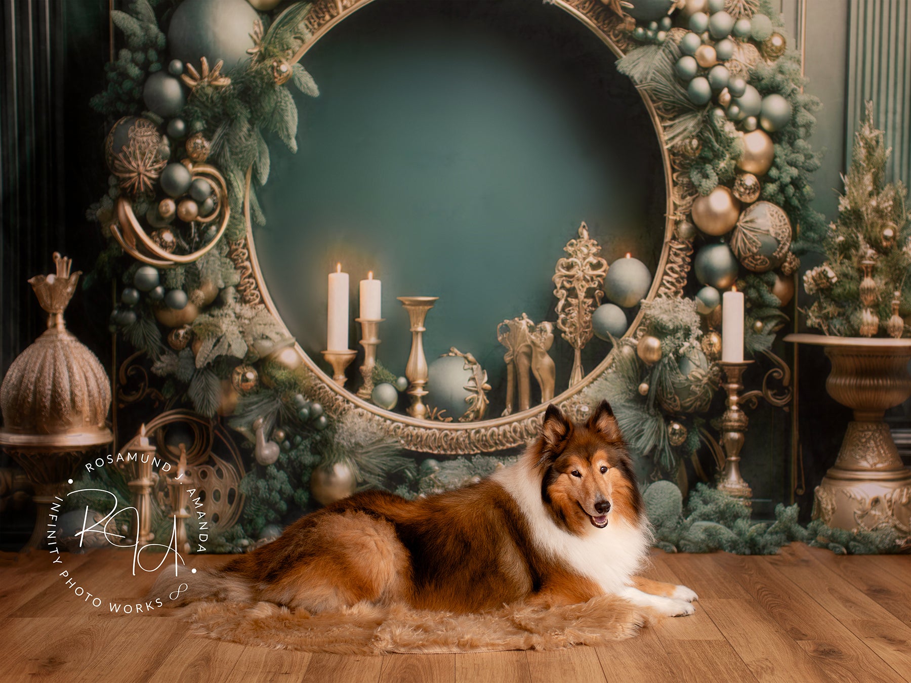 Kate Vintage Green Wall Circle Backdrop Designed by Emetselch - Kate Backdrop AU