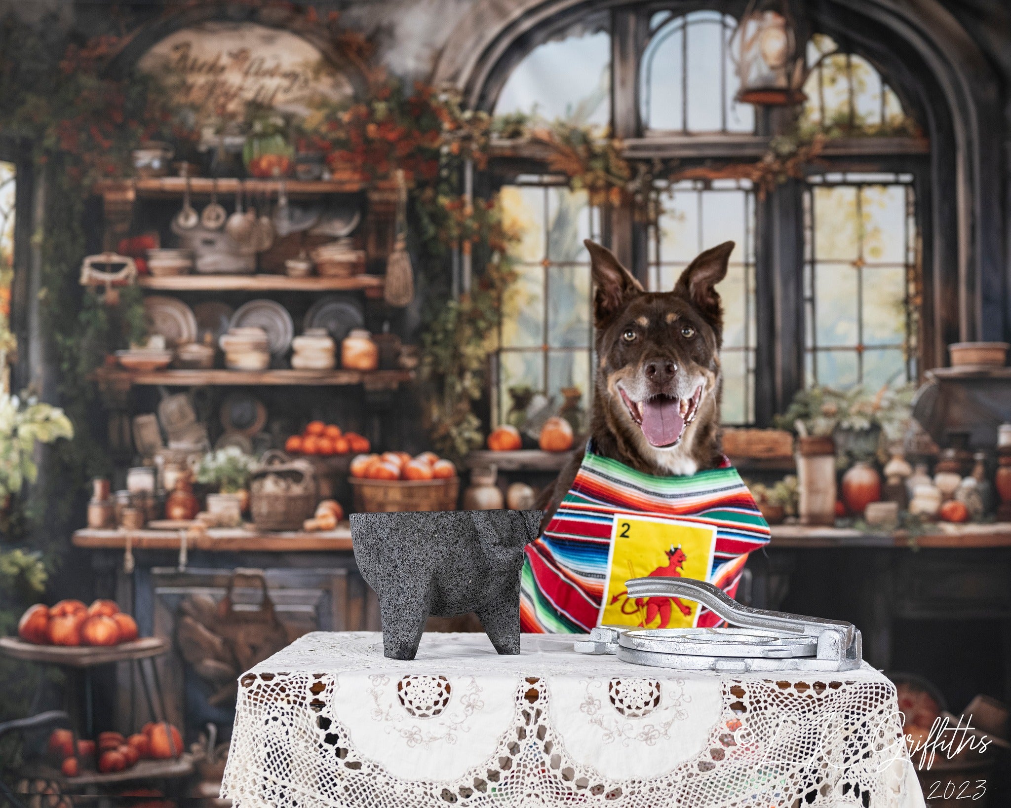 Kate Retro Autumn Painted Kitchen Backdrop Designed by Emetselch - Kate Backdrop AU