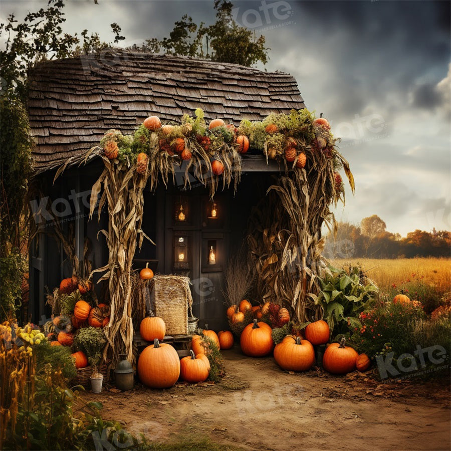Kate Farm Pumpkin Harvest Backdrop for Photography - Kate Backdrop AU