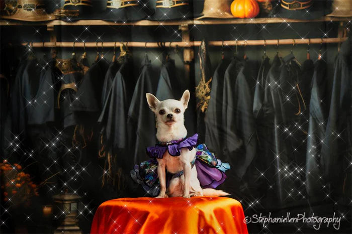 Kate Halloween Dresses Backdrop for Photography - Kate Backdrop AU
