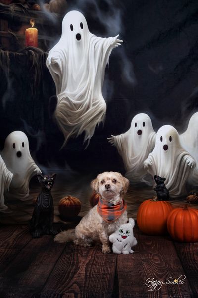 Kate Spooky Halloween Ghosts Backdrop Designed by Patty Robertss - Kate Backdrop AU