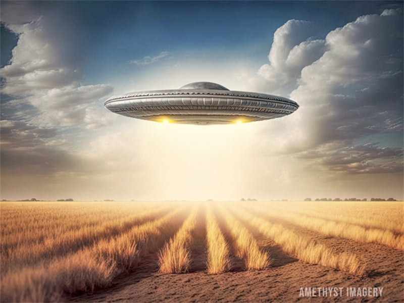 Kate UFO Field Backdrop Designed by Angela Miller - Kate Backdrop AU