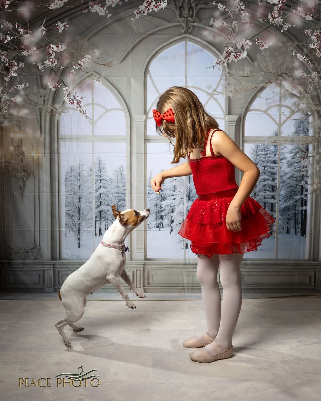 Kate Winter Backdrop White Frosted Luxury Room Window Designed by Mini MakeBelieve - Kate Backdrop AU