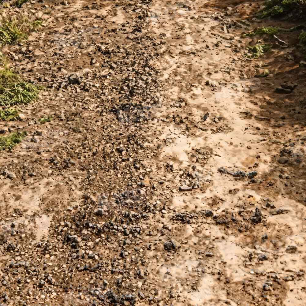 Kate Muddy Land Path Floor Backdrop Designed by Kate Image - Kate Backdrop AU