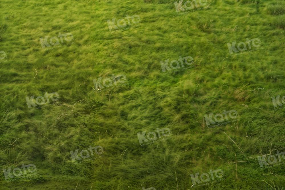 Kate Green Grassland Backdrop Designed by Kate Image - Kate Backdrop AU