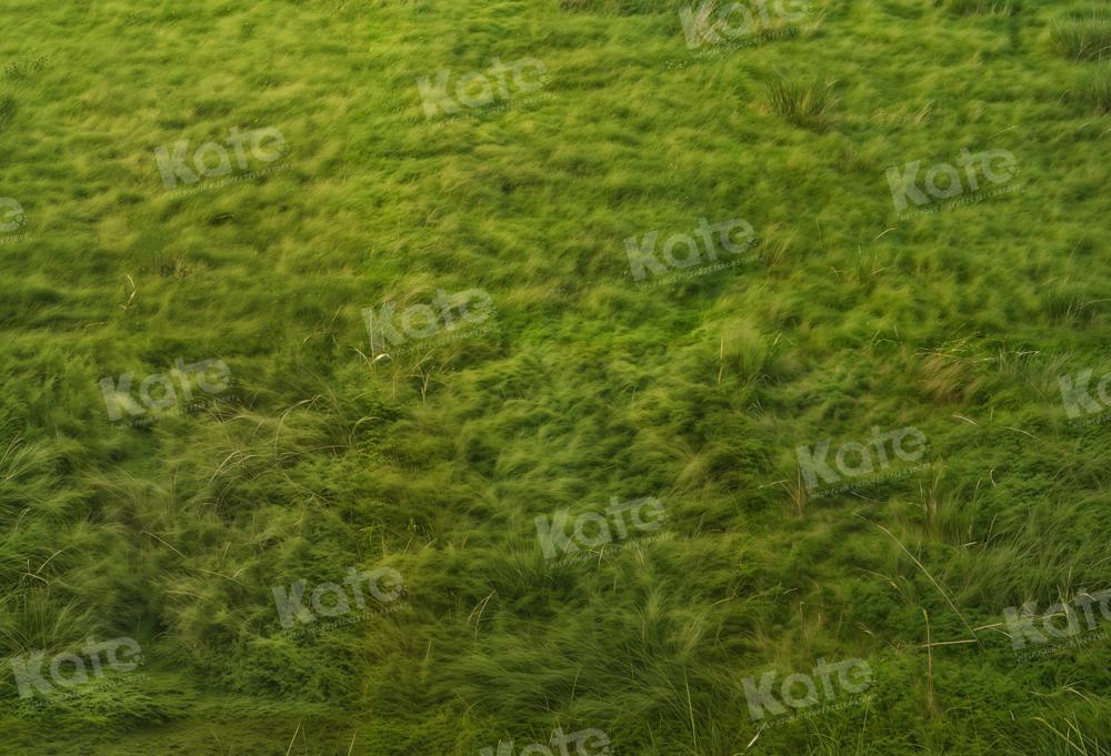 Kate Green Grassland Backdrop Designed by Kate Image - Kate Backdrop AU